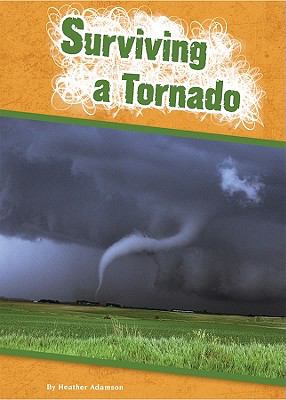 Surviving a tornado