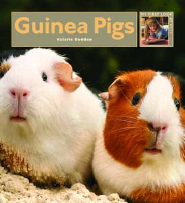 Guinea pigs