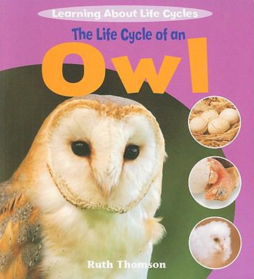 The life cycle of an owl