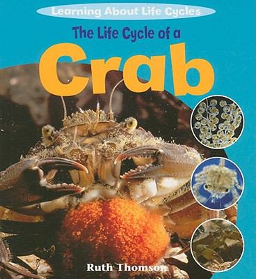 The life cycle of a crab