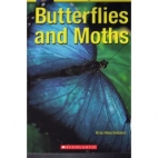 Butterflies and moths