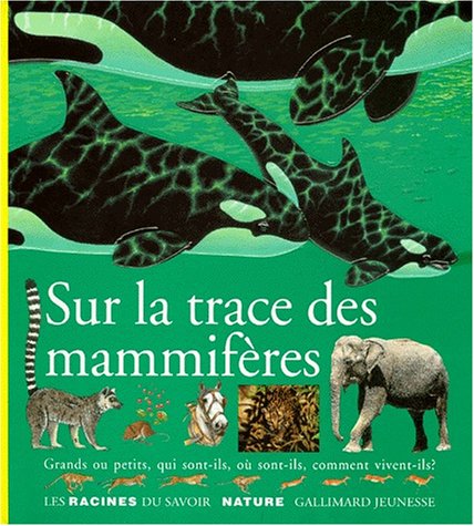 Sur la trace des mammifères