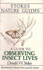 A guide to observing insect lives