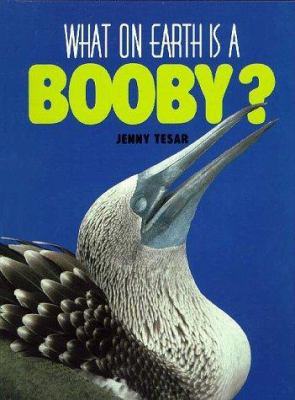 What on earth is a booby?