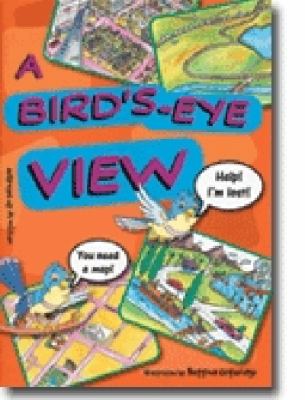 A bird's-eye view