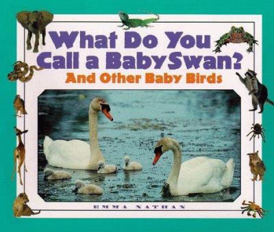 What do you call a baby swan? : and other baby birds