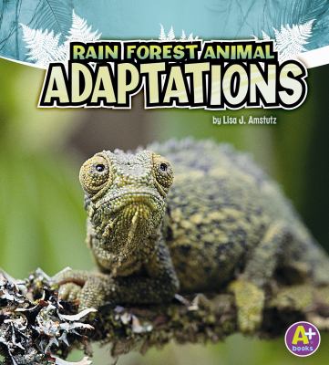 Rain forest animal adaptations