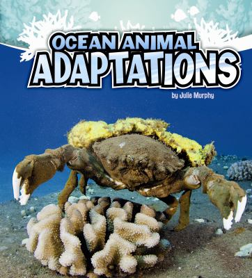 Ocean animal adaptations