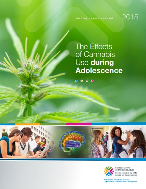 The effects of cannabis use during adolescence