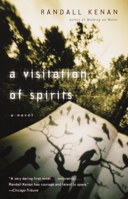 A visitation of spirits : a novel