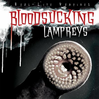 Bloodsucking lampreys