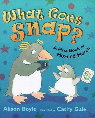 What goes snap? : a shapes and patterns game book