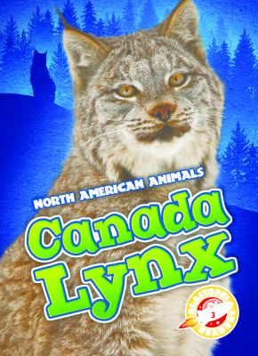 Canada lynx