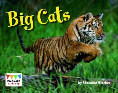 Big cats