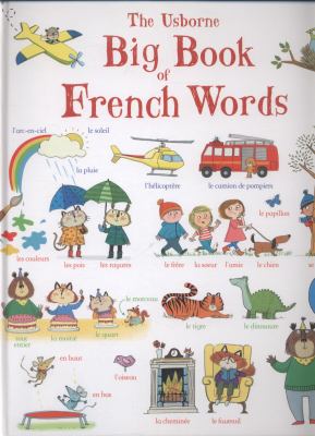 The big book of French words