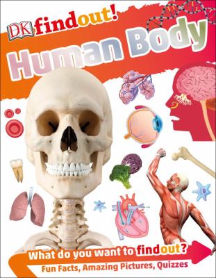 Human body