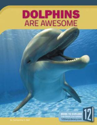 Dolphins are awesome