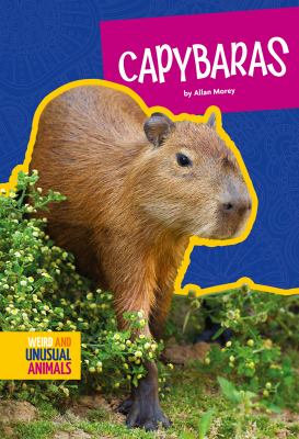 Capybaras