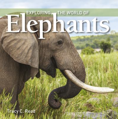 Exploring the world of elephants