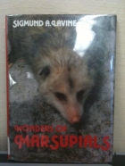 Wonders of marsupials