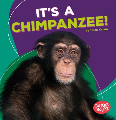 It's a chimpanzee!