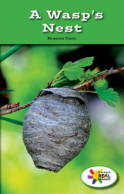 A wasp's nest