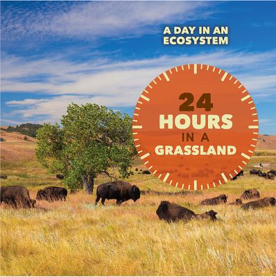 24 hours in a grasslands