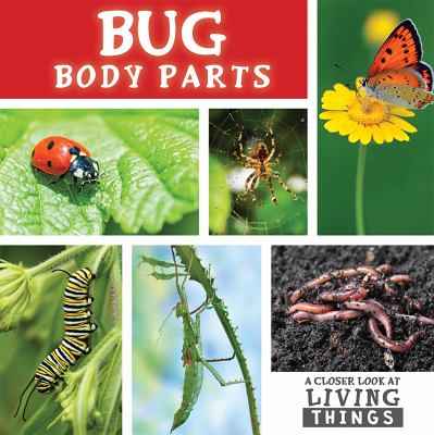 Bug body parts