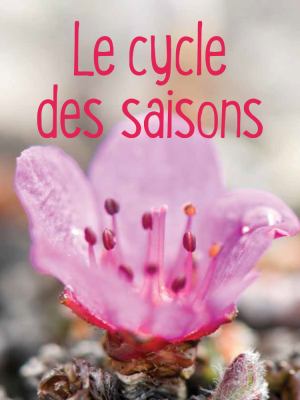 Le cycle des saisons