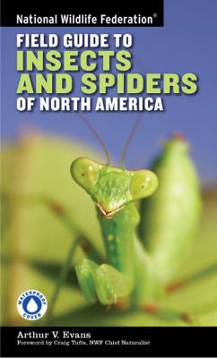 National Wildlife Federation field guide to insects and spiders & related species of North America