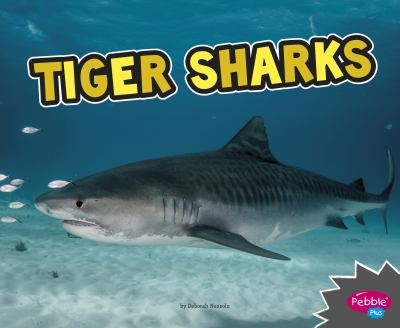 Tiger sharks
