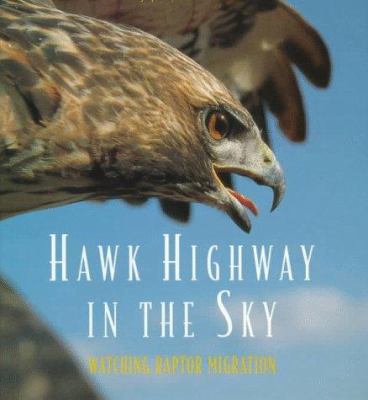 Hawk highway in the sky : watching raptor migration
