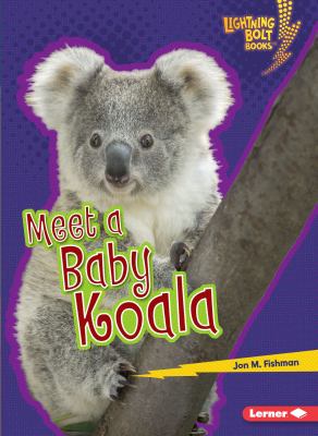 Meet a baby koala