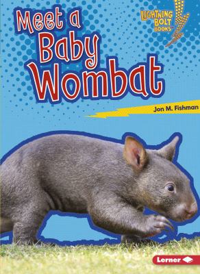 Meet a baby wombat