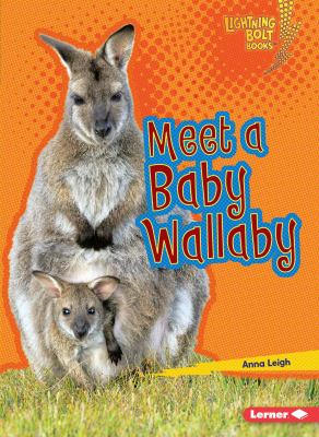 Meet a baby wombat
