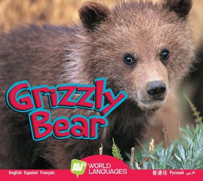 I am a grizzly bear