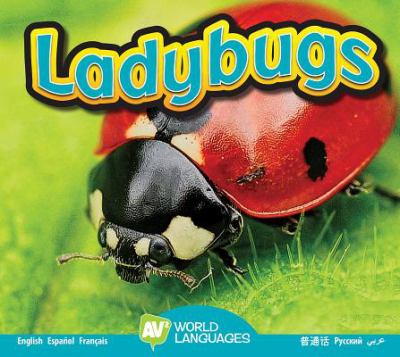 Ladybugs