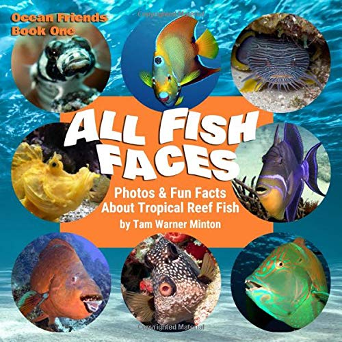 All fish faces|h [print] : photos and fun facts about tropical reef fish