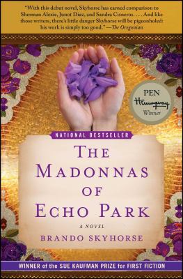 Madonnas of Echo Park : a novel
