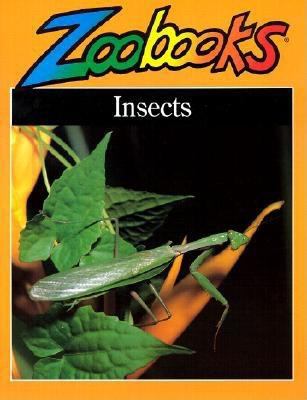 Insects