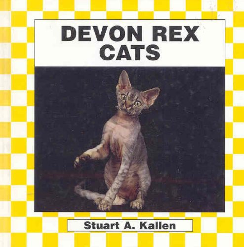 Devon rex cats