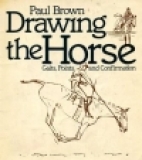 Drawing the horse : gaits, points and confirmation