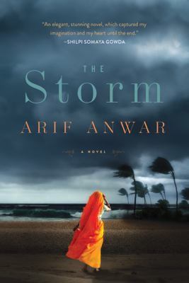 The storm : a novel