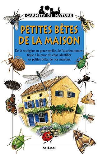 Petites bêtes de la maison