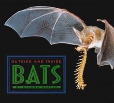 Outside and inside bats