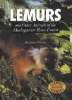 Lemurs and other animals of the Madagascar rain forest