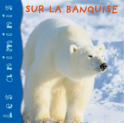 Sur la banquise