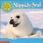 A day in the life of Slippidy Seal