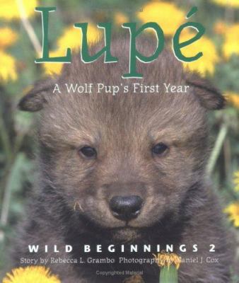 Lupé : a wolf pup's first year