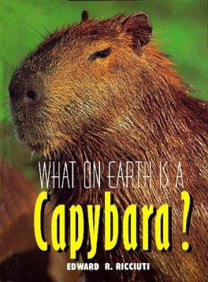 What on earth is a capybara?
